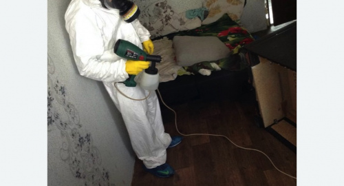 Обработка квартир от насекомых в Кодинске