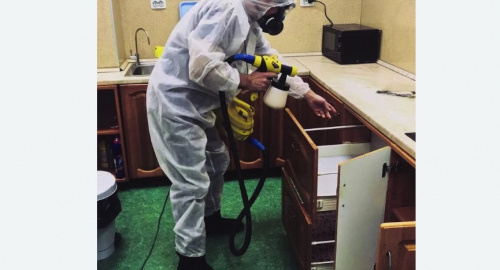 Дезинсекция квартиры. Кодинск
