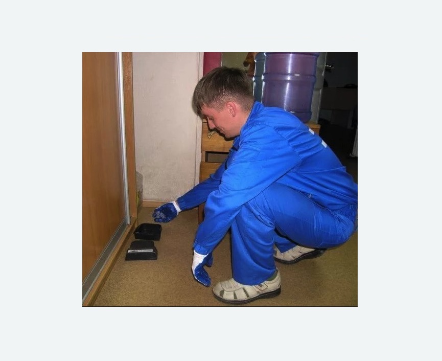 Дератизация крыс в Кодинске