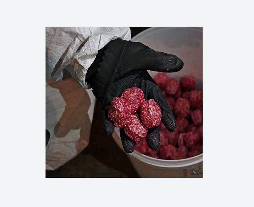 Обработка от крыс в Кодинске