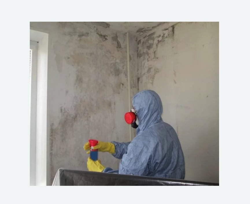 Удаление плесени в квартире в Кодинске