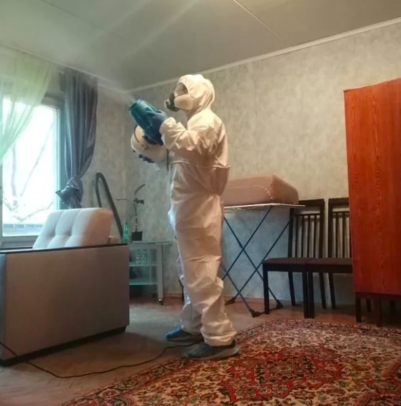 дезинсекция квартиры в Кодинске