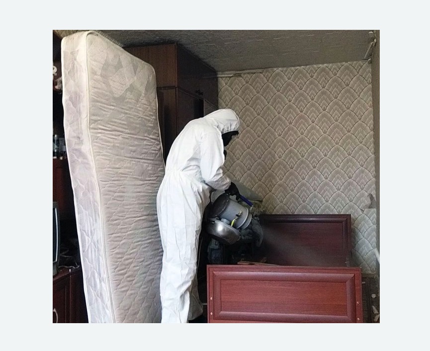 дезинфекция от клопов в Кодинске