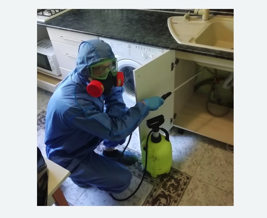 обработка от муравьев в квартире в Кодинске