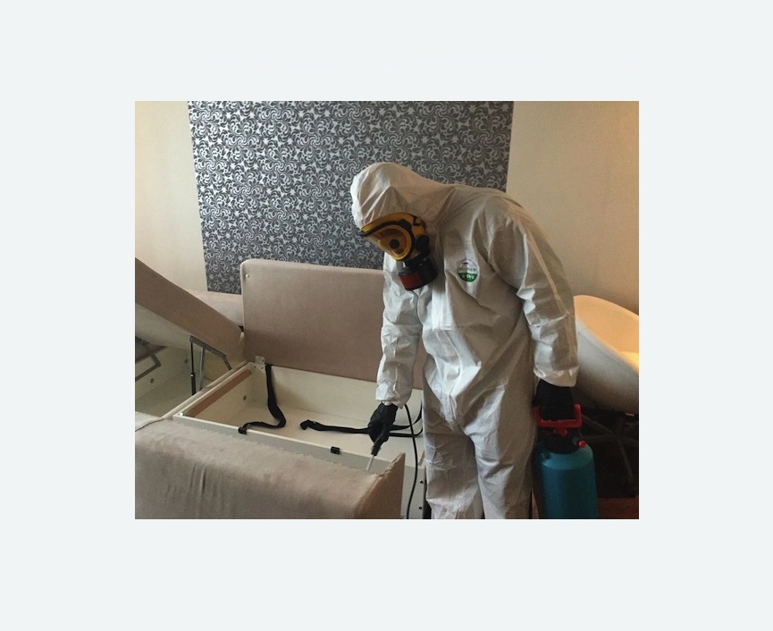 уничтожение клопов в квартире в Кодинске