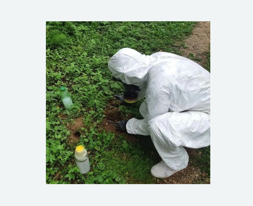 уничтожение кротов на участке уничтожение кротов на участке в Кодинске