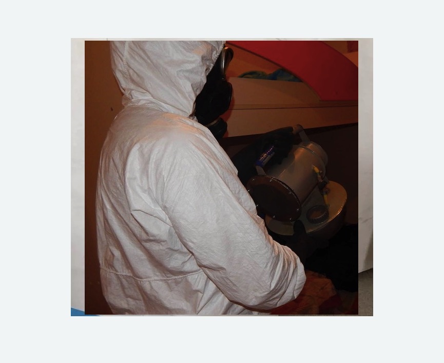 Дезинфекция от муравьев в Кодинске