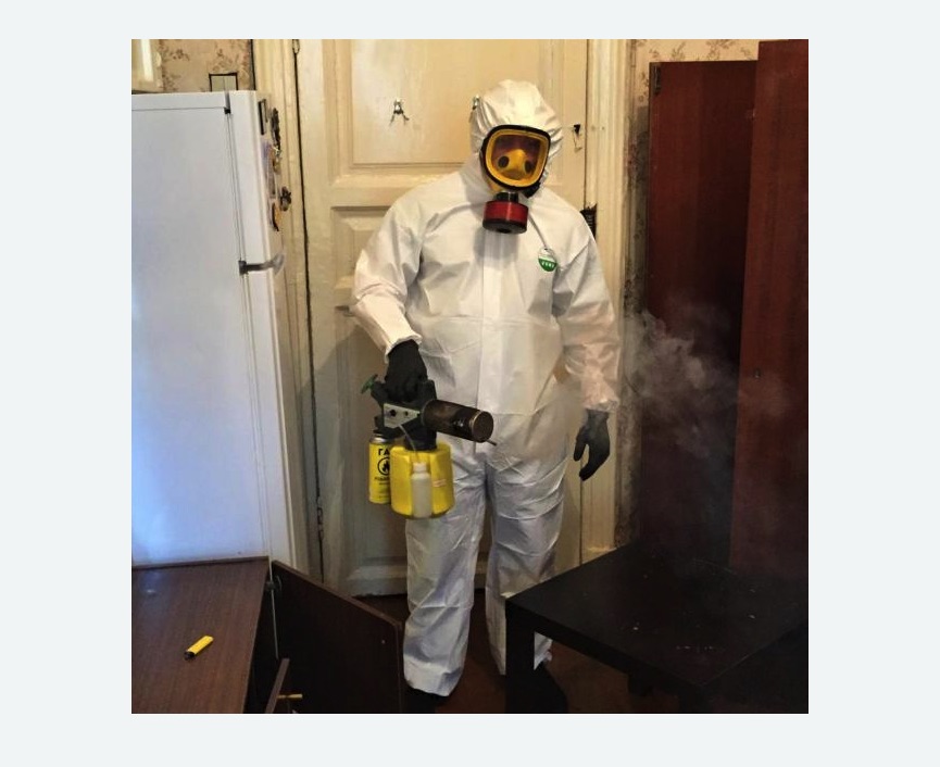 уничтожение муравьев в квартире в Кодинске